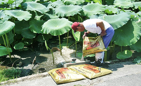 12町歩に4日で“らくらく”