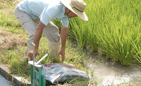 水稲に“らくらく施肥”で