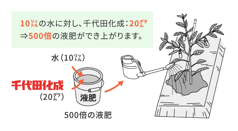 千代田化成 サンアグロ株式会社 肥料や資材で農業に貢献 千代田化成 サンアグロ株式会社 肥料や資材で農業に貢献