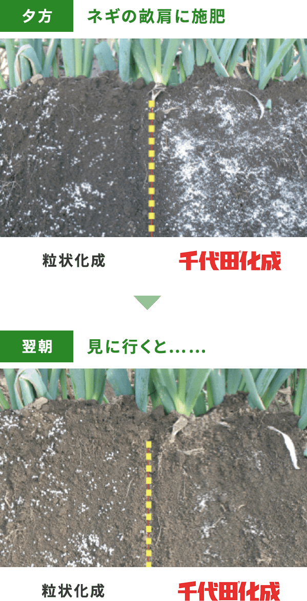 千代田化成 サンアグロ株式会社 肥料や資材で農業に貢献 千代田化成 サンアグロ株式会社 肥料や資材で農業に貢献